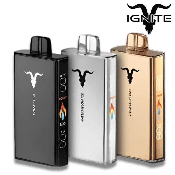 CAIXA IGNITE V250 25000 PUFFS- 10 UNIDADES